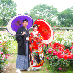 撮影ロケ地：京都植物園｜和装撮影てらや