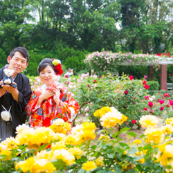 撮影ロケ地：京都植物園｜和装撮影てらや