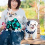 着物ワンちゃん